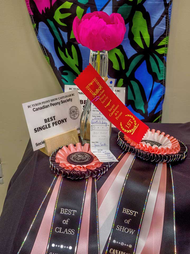 Canadian Peony Society Best Of Class Ribbons
